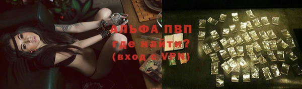 мяу мяу мука Абаза