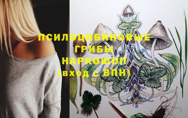 мяу мяу мука Абаза