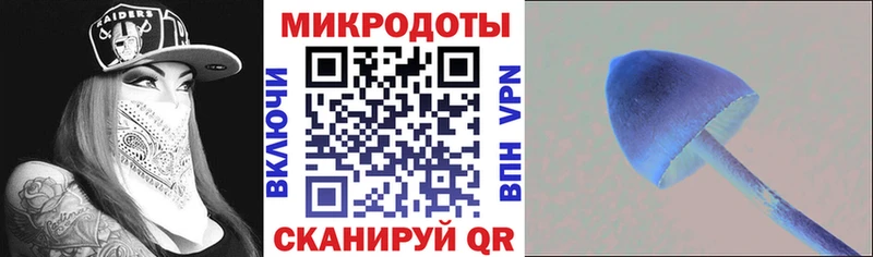 Псилоцибиновые грибы GOLDEN TEACHER  Чухлома 